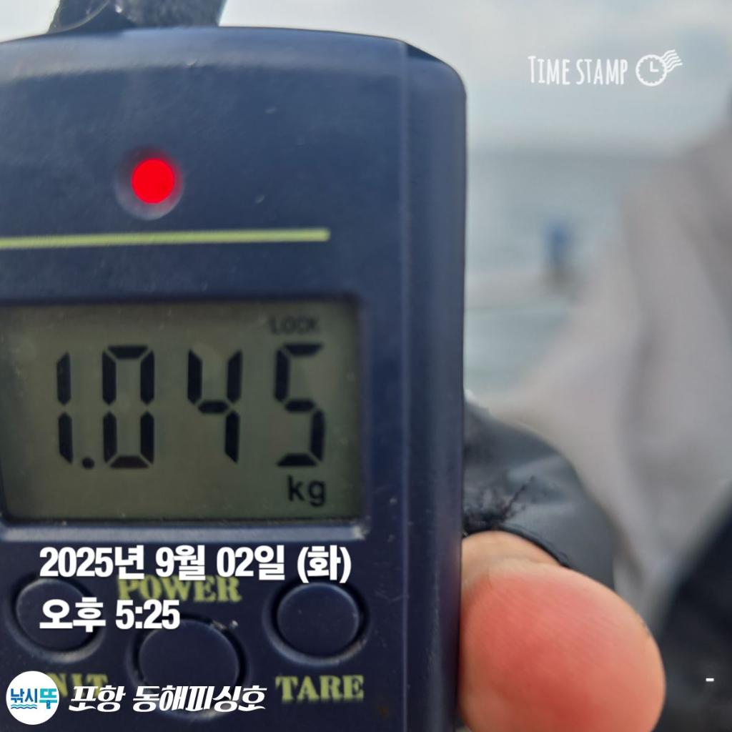 낚시뚜,돌문어,포항(운하관),포항 동해피싱호,낚시뚜1