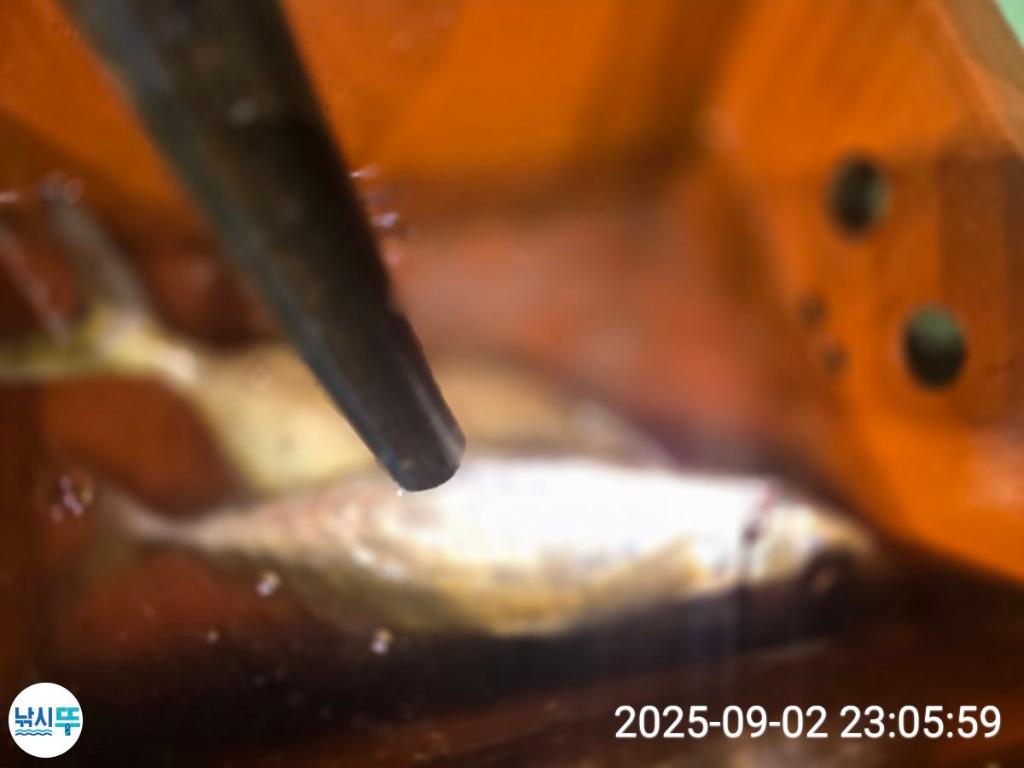 F27694331N.jpg