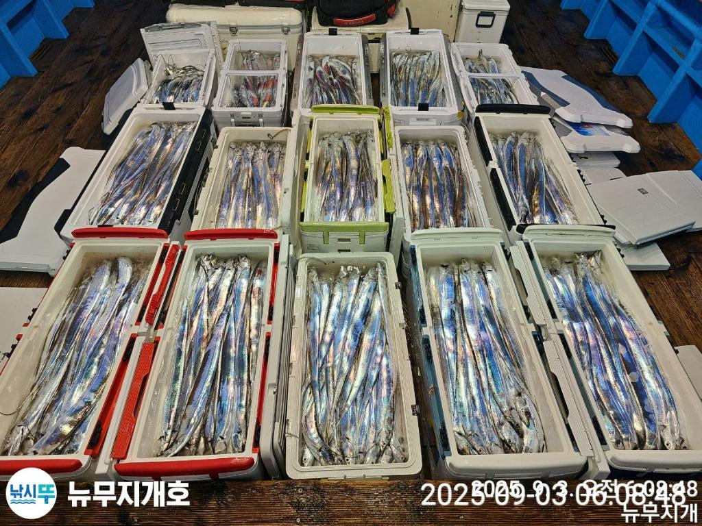 F2769563CT.jpg