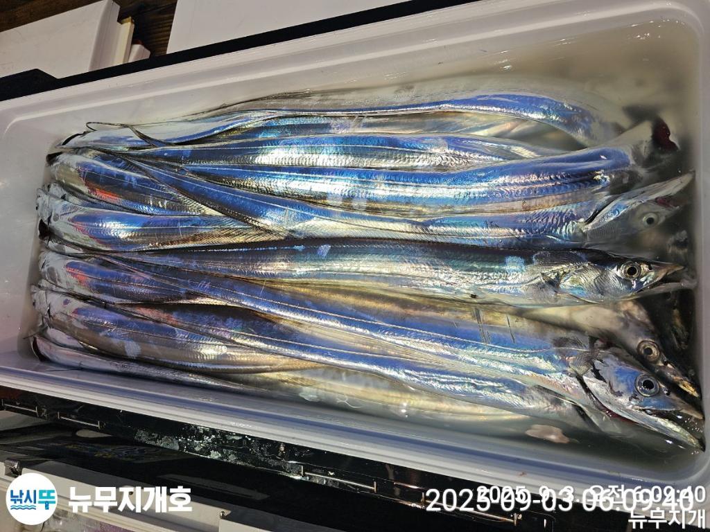 F2769568UW.jpg