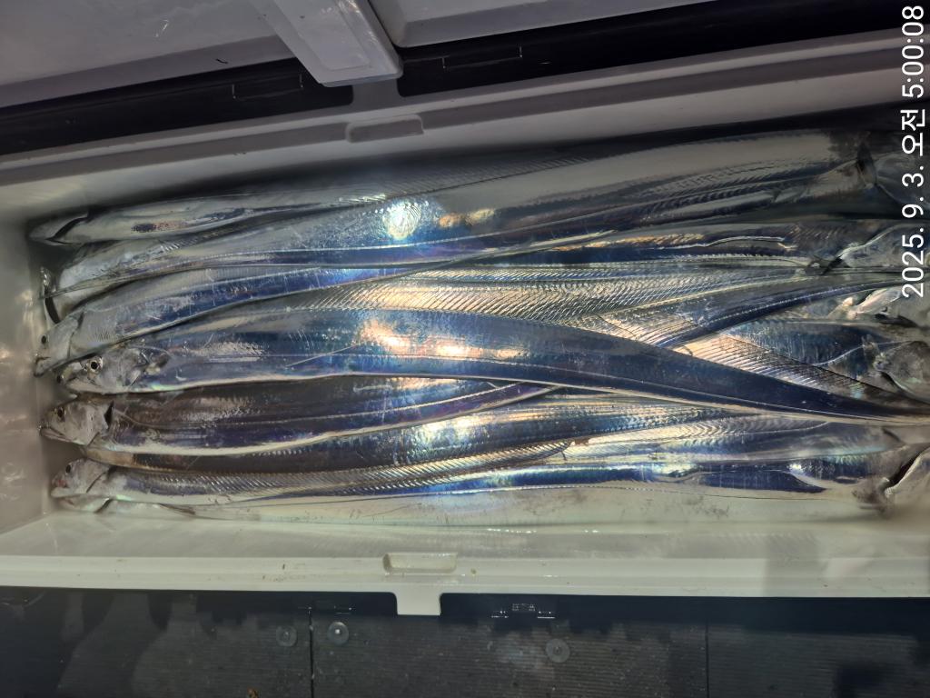 F2769644RW.jpg