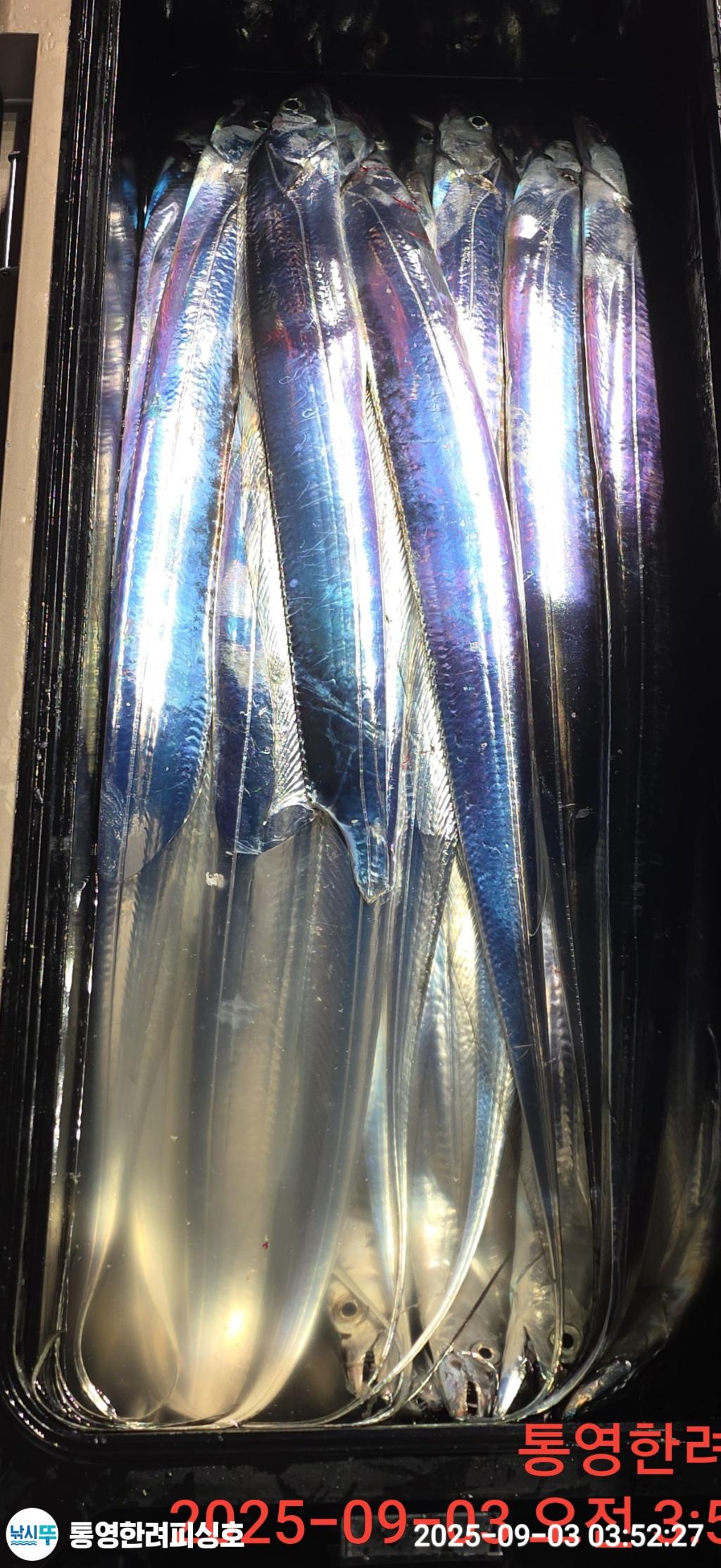 F2769953W4.jpg