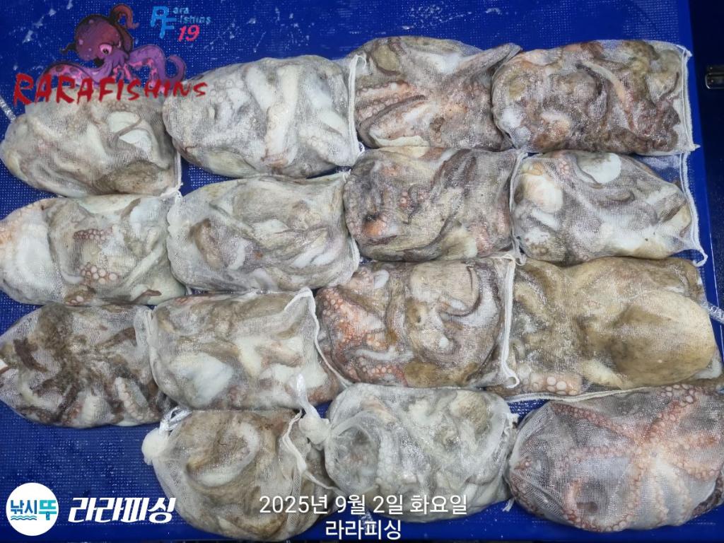 F2770199SY.jpg
