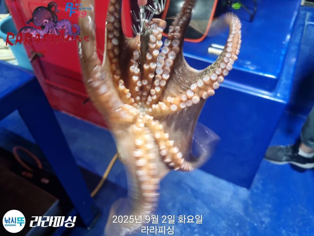 F2770210LA.jpg