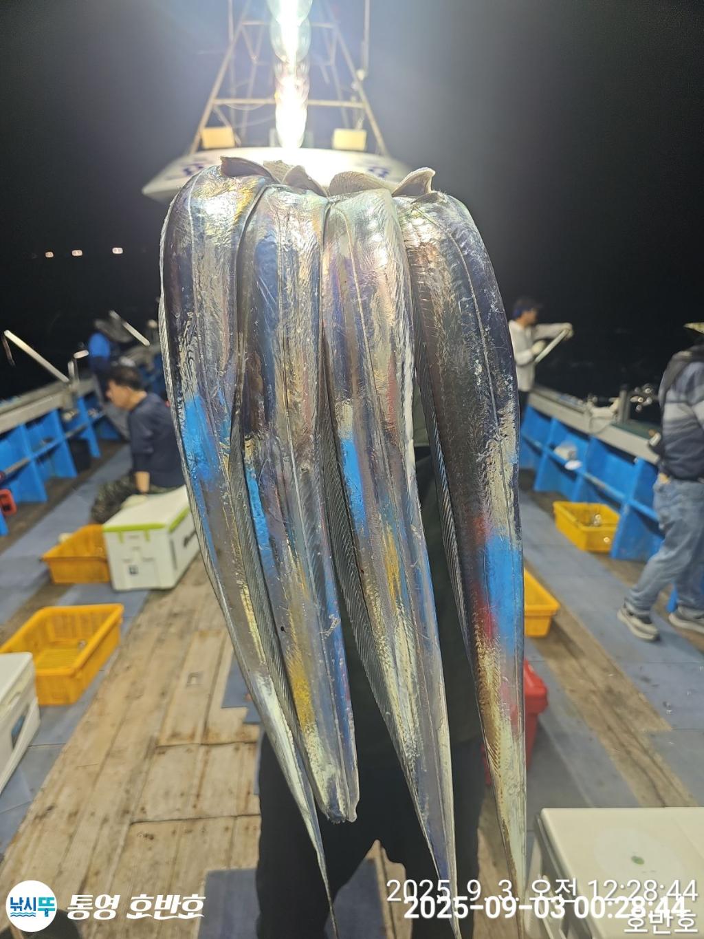 낚시뚜,갈치,통영 신전항,통영호반호,낚시뚜28