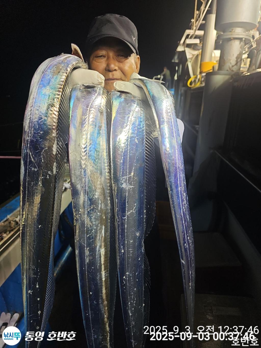 낚시뚜,갈치,통영 신전항,통영호반호,낚시뚜23