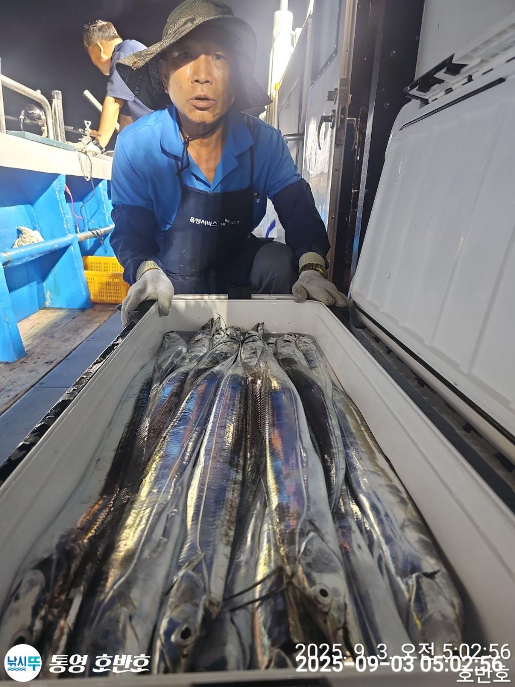 낚시뚜,갈치,통영 신전항,통영호반호,낚시뚜9