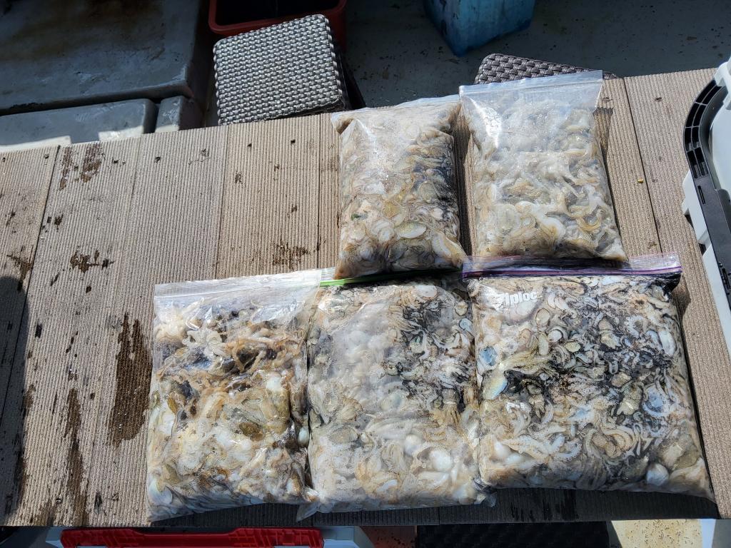 낚시뚜,쭈꾸미,오천항,푸르러호(뉴해양호),낚시뚜2