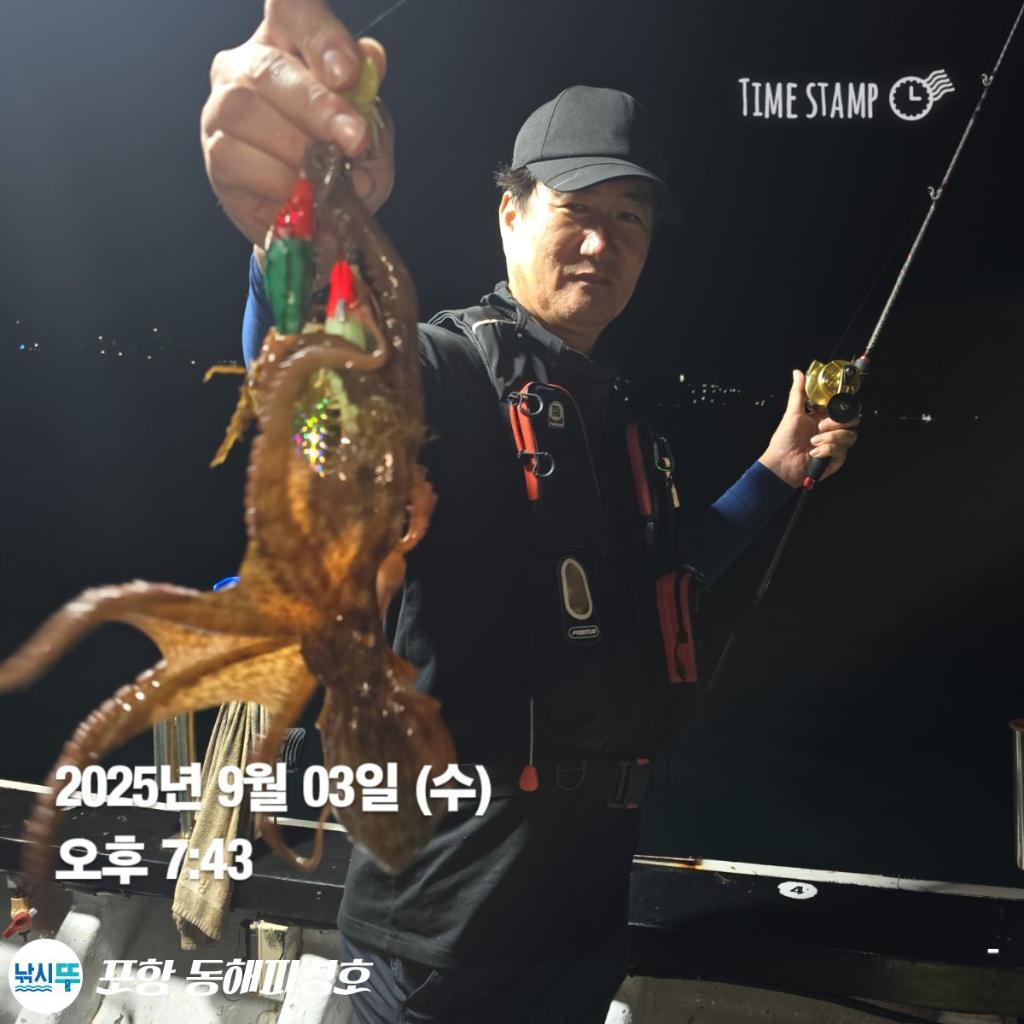 낚시뚜,돌문어,포항(운하관),포항 동해피싱호,낚시뚜4