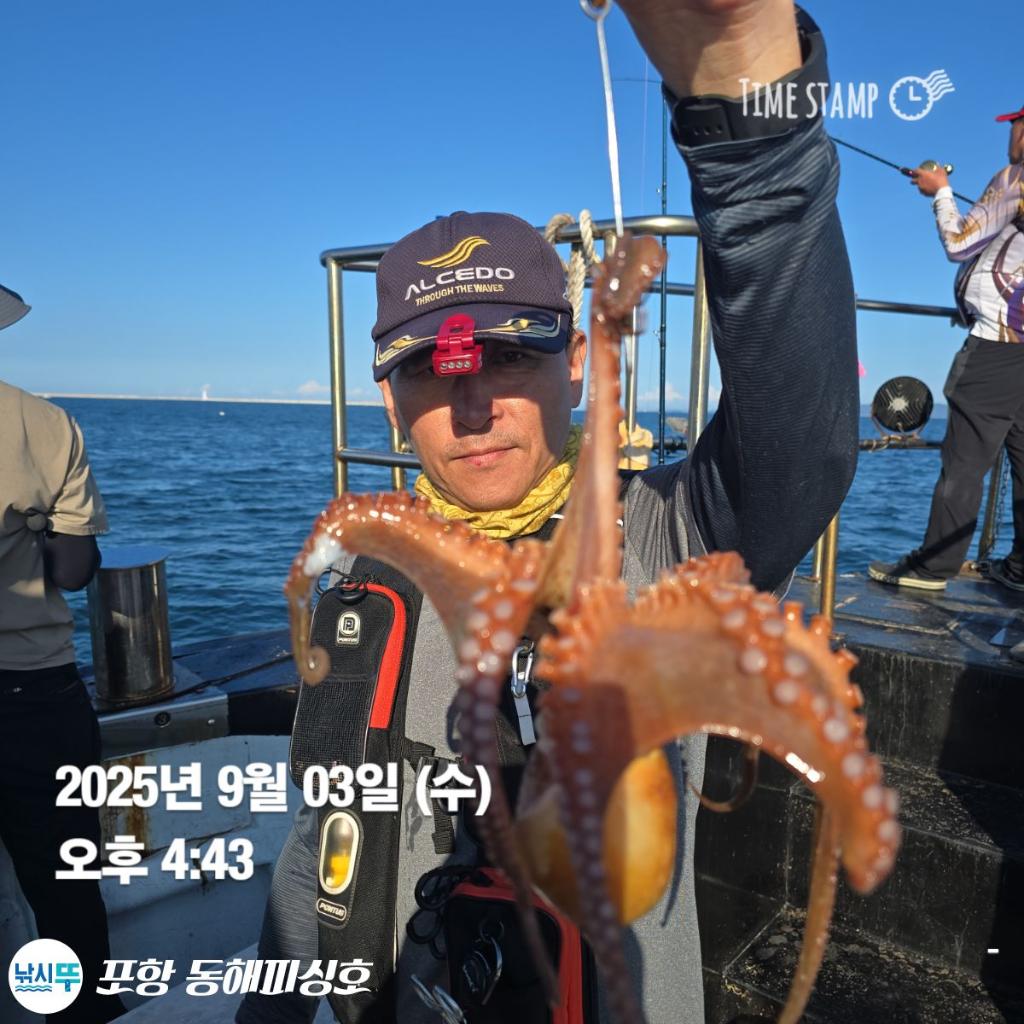 낚시뚜,돌문어,포항(운하관),포항 동해피싱호,낚시뚜1