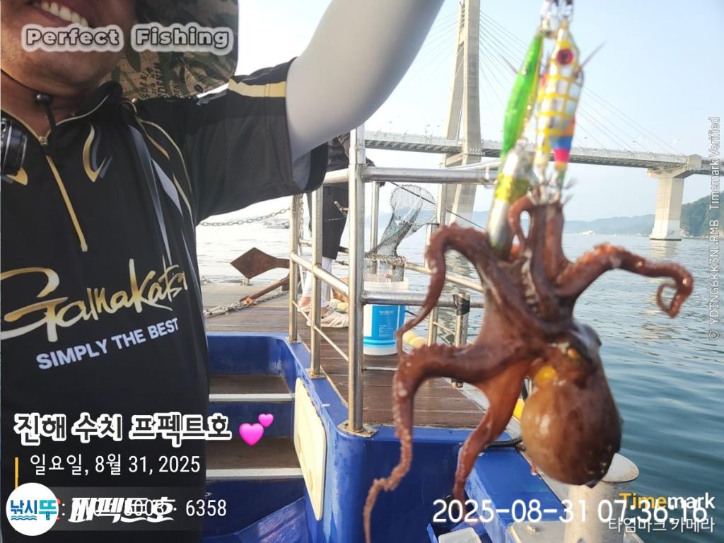 돌문어, 퍼펙트호, 낚시뚜