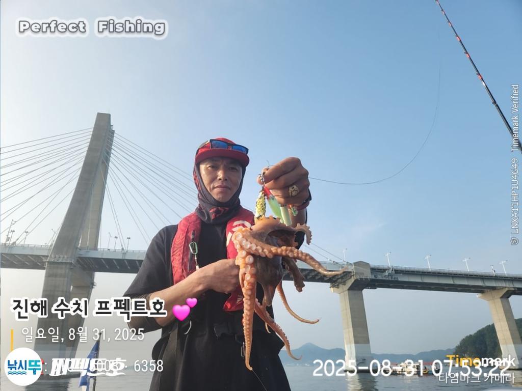 돌문어, 퍼펙트호, 낚시뚜