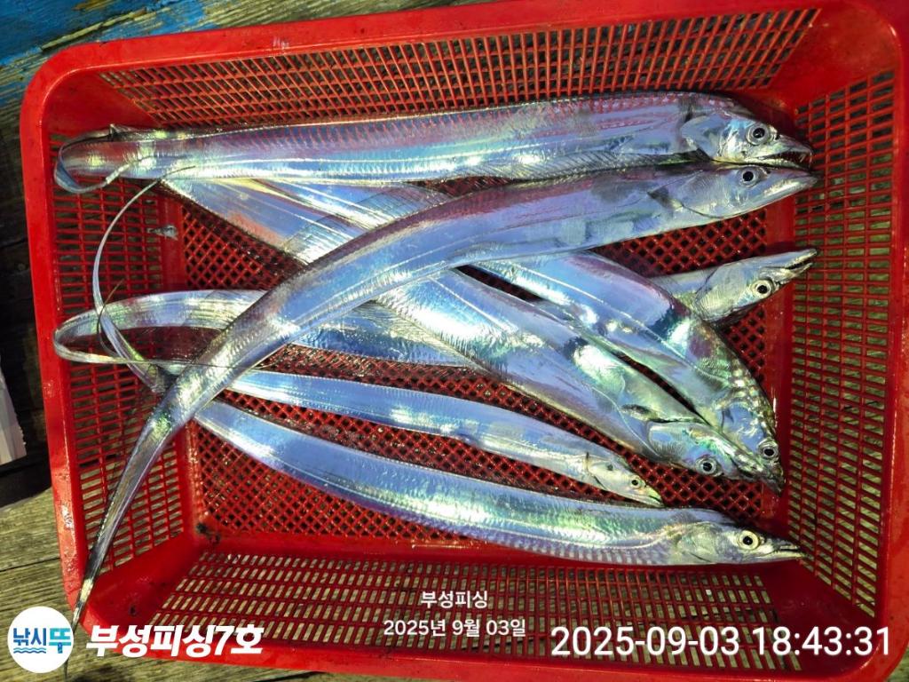 F27704936L.jpg