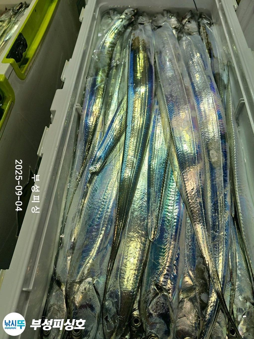 F2770510LL.jpg