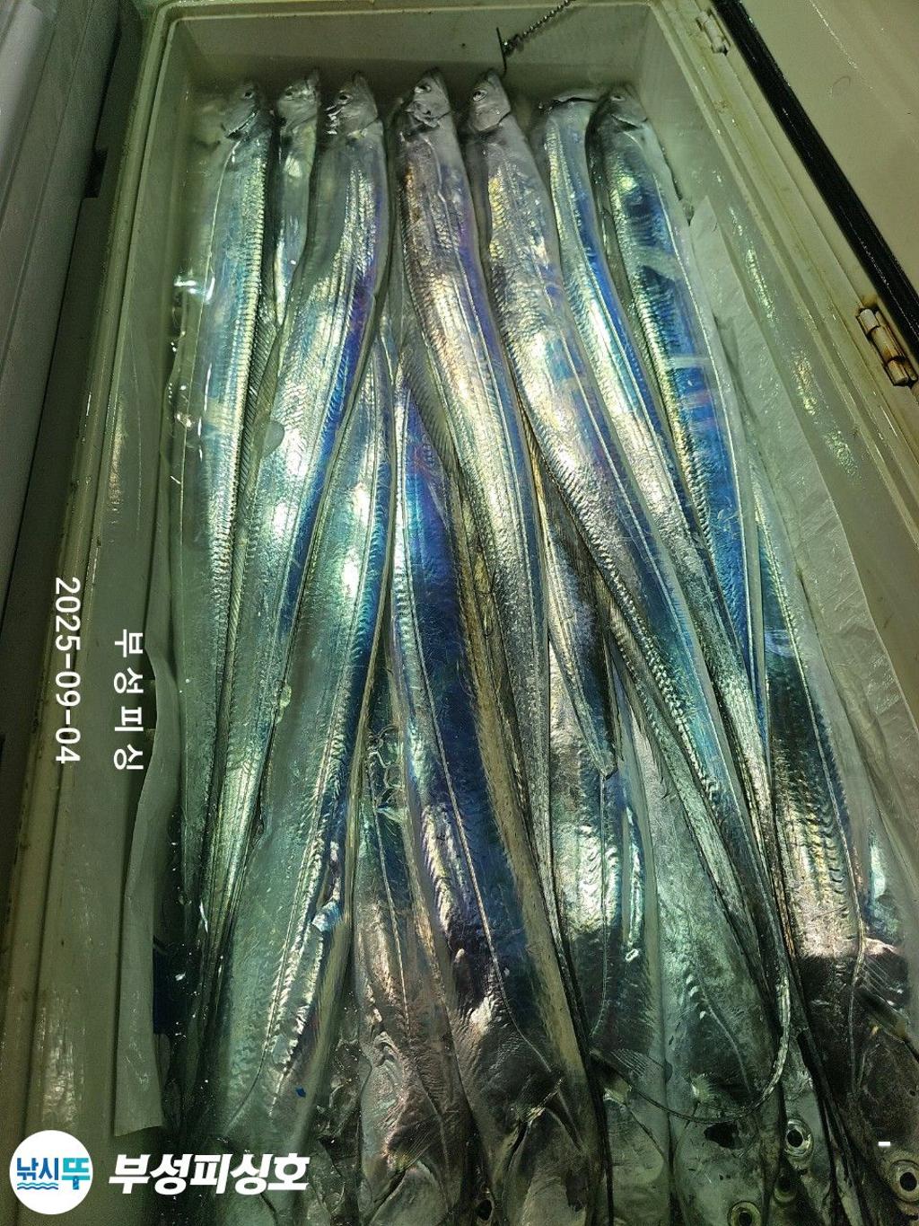 F27705113Q.jpg