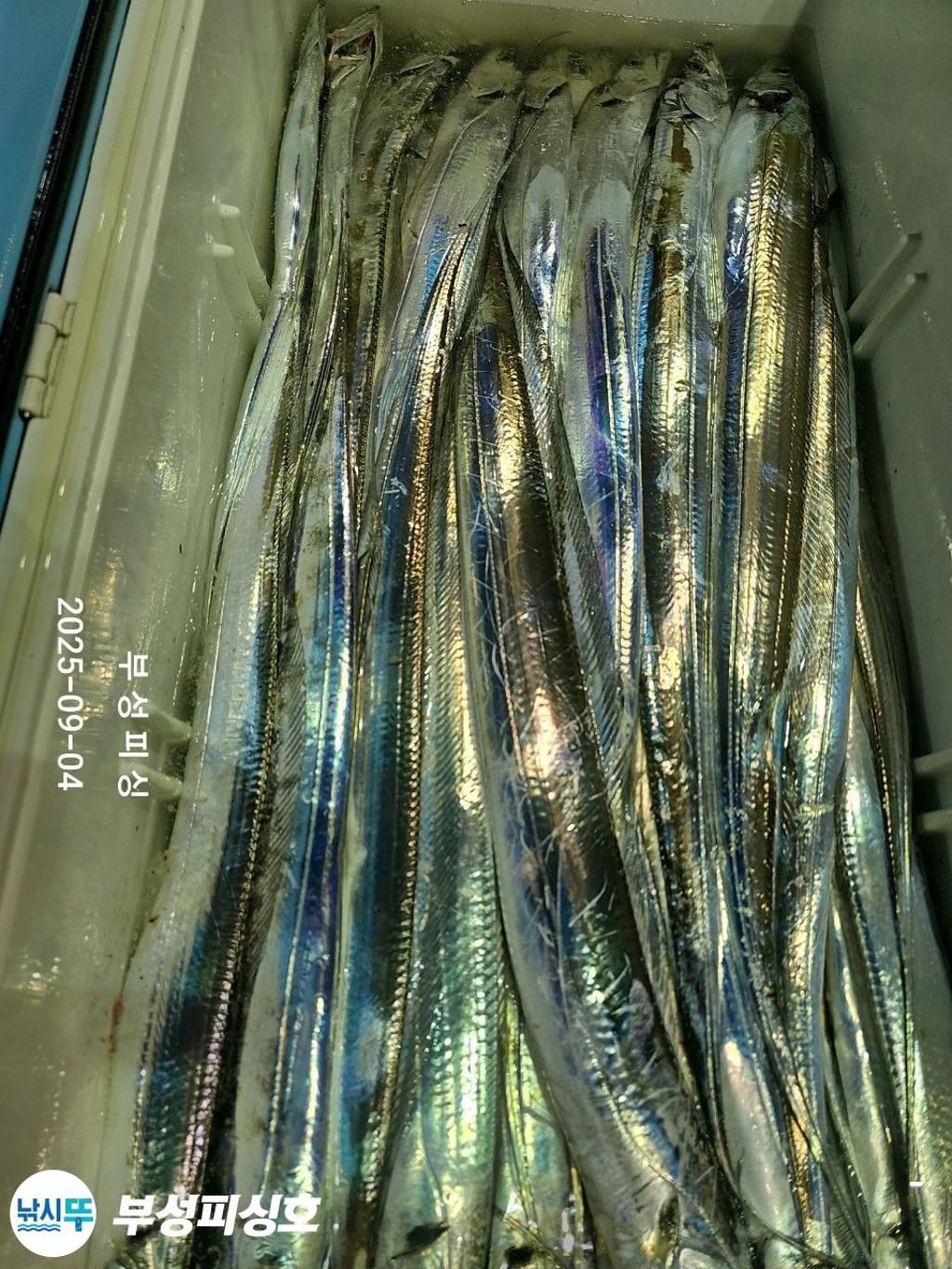 F2770512WJ.jpg