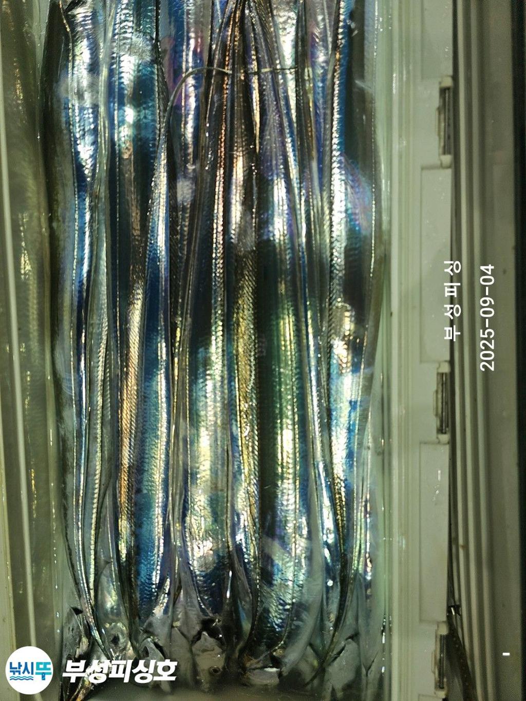 F2770514ZV.jpg