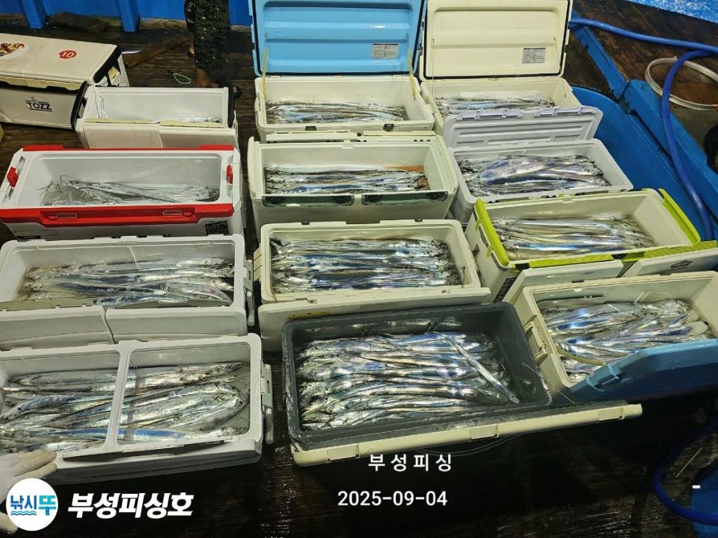 F2770515EM.jpg