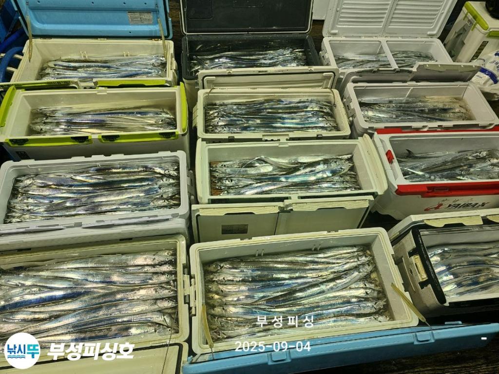 F2770518YZ.jpg