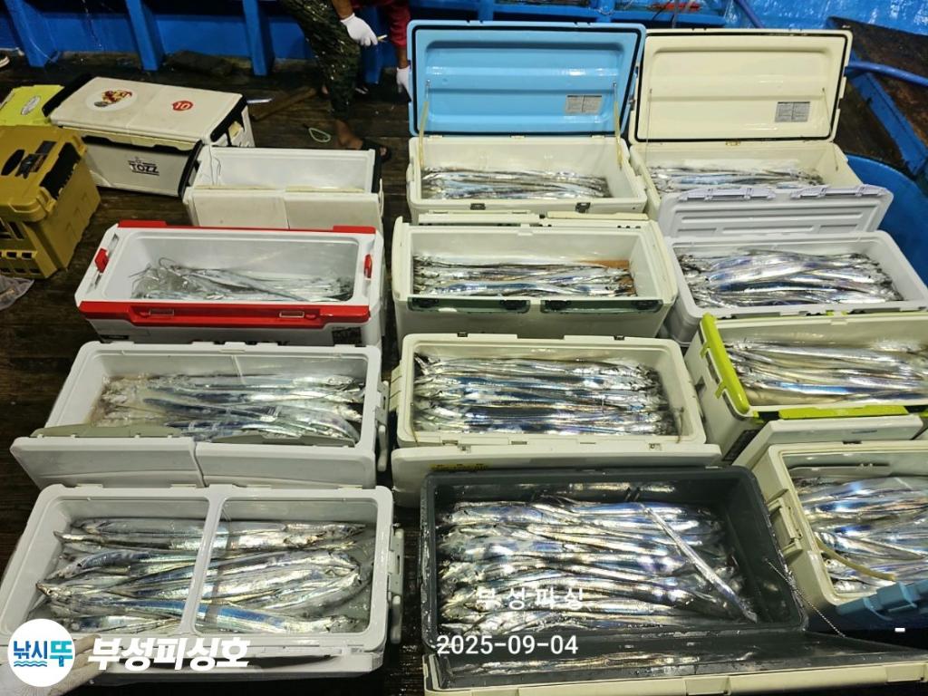 F27705193F.jpg