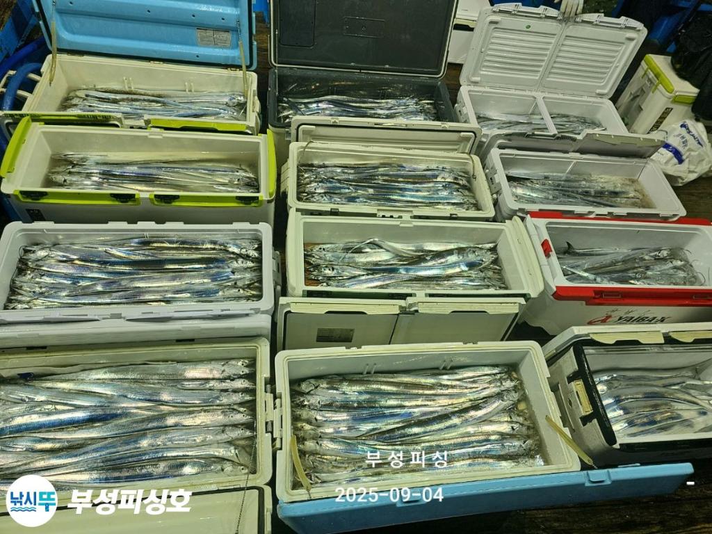F2770521JD.jpg