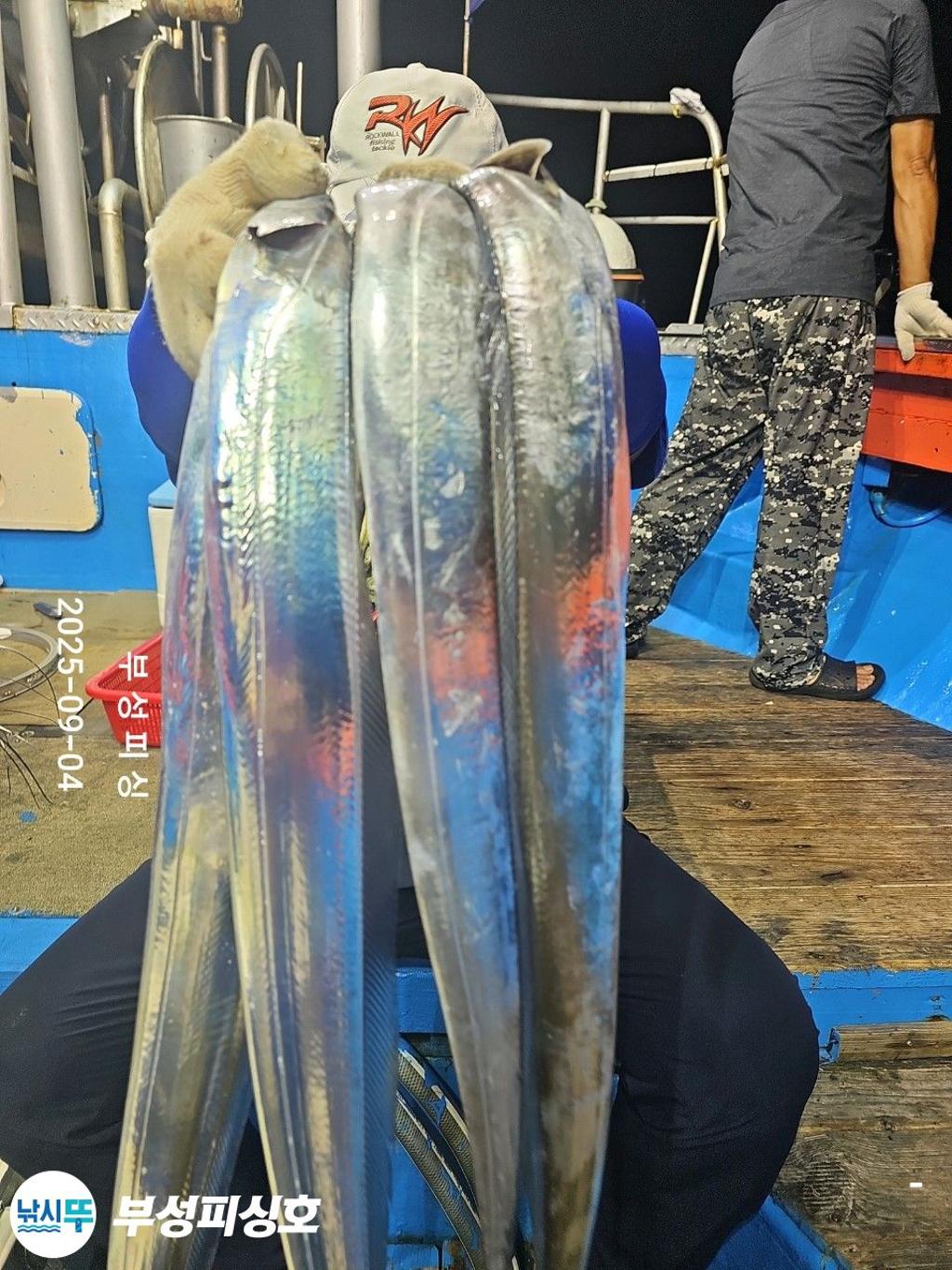 F27705243Q.jpg