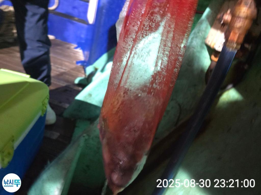 F2770612QU.jpg