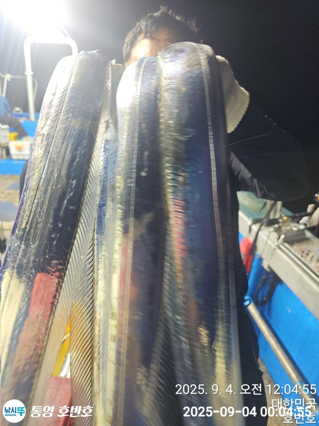 낚시뚜,갈치,통영 신전항,통영호반호,낚시뚜12