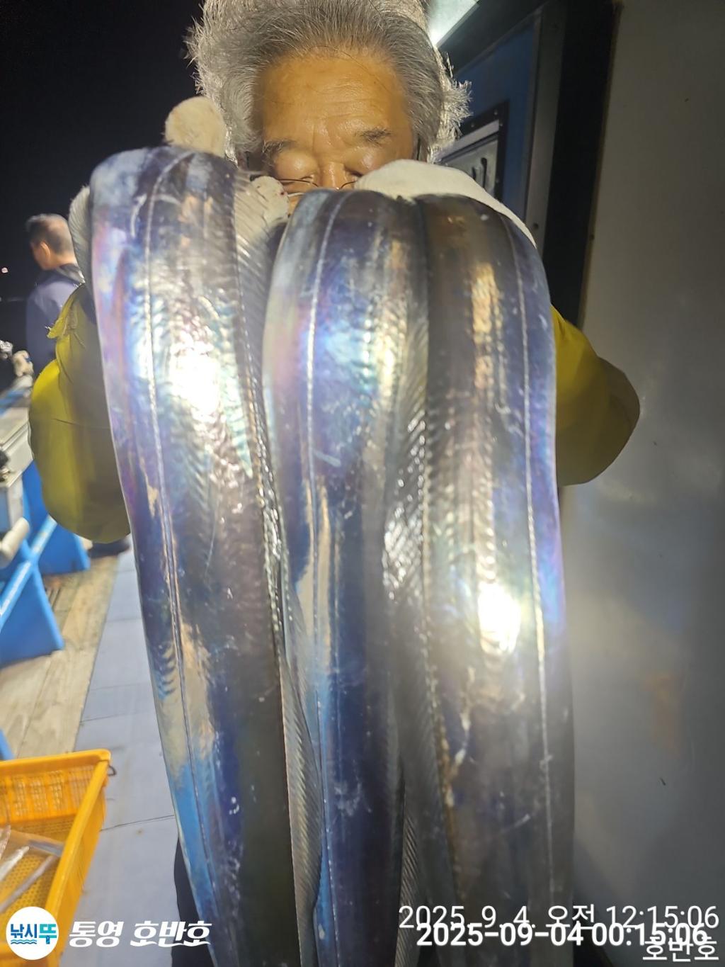 낚시뚜,갈치,통영 신전항,통영호반호,낚시뚜9