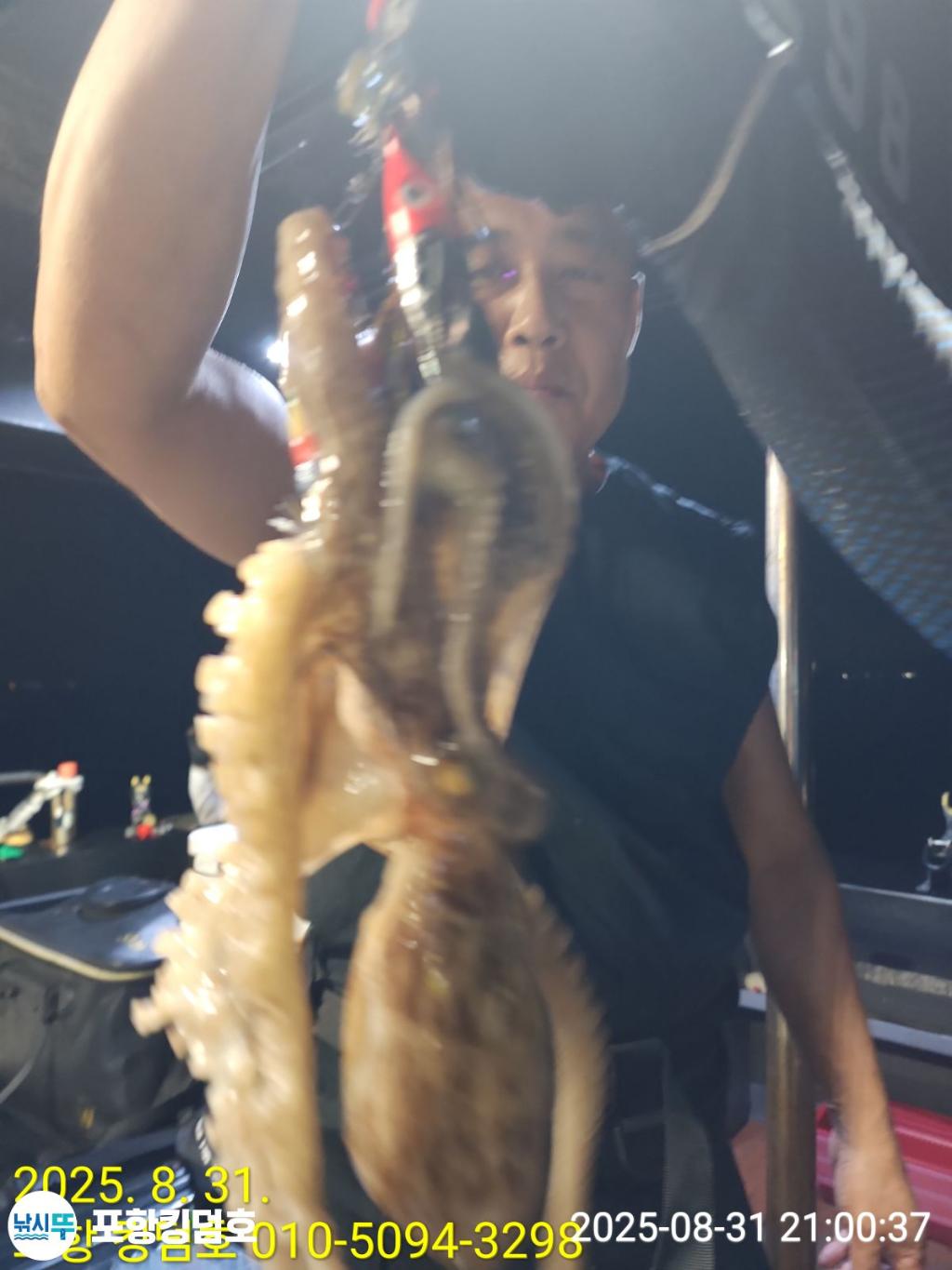 낚시뚜,돌문어,영일만항,포항 킹덤호,낚시뚜16
