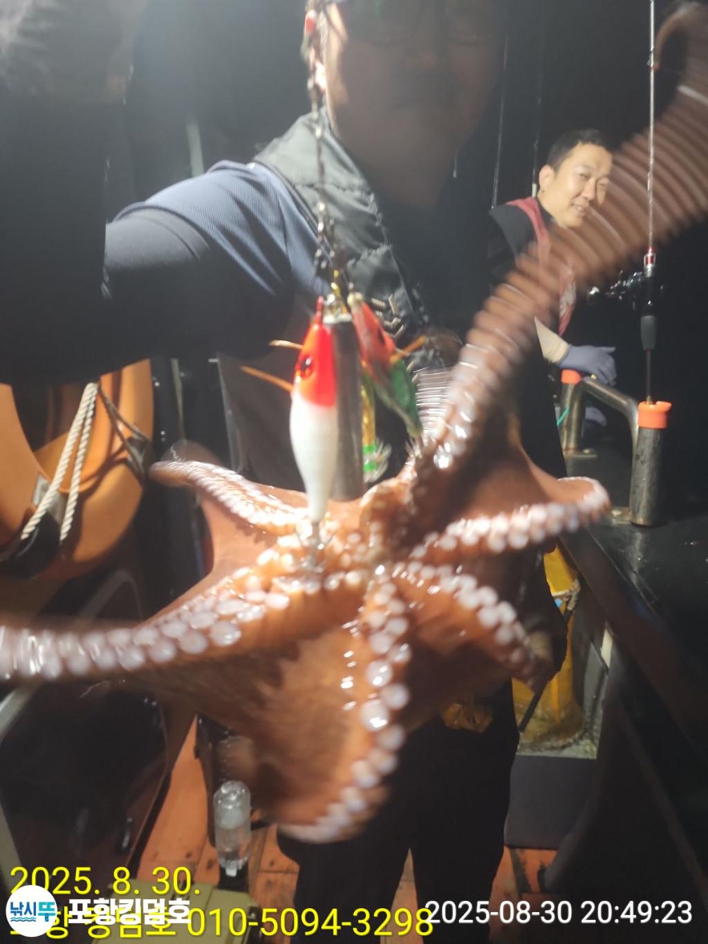 낚시뚜,돌문어,영일만항,포항 킹덤호,낚시뚜2