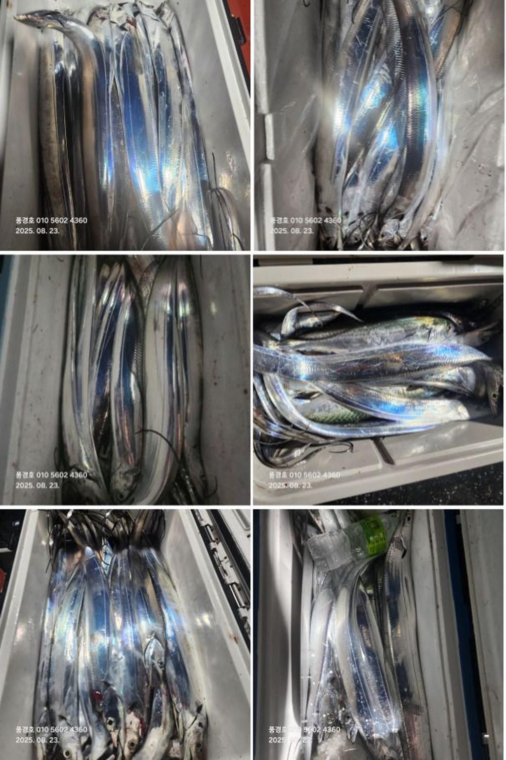 F2770771KV.jpg