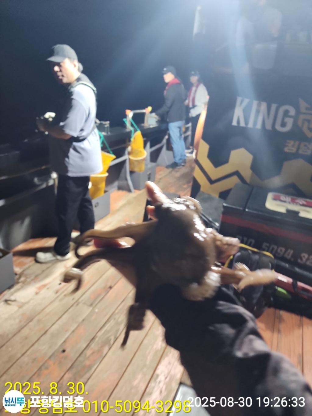 낚시뚜,돌문어,영일만항,포항 킹덤호,낚시뚜21