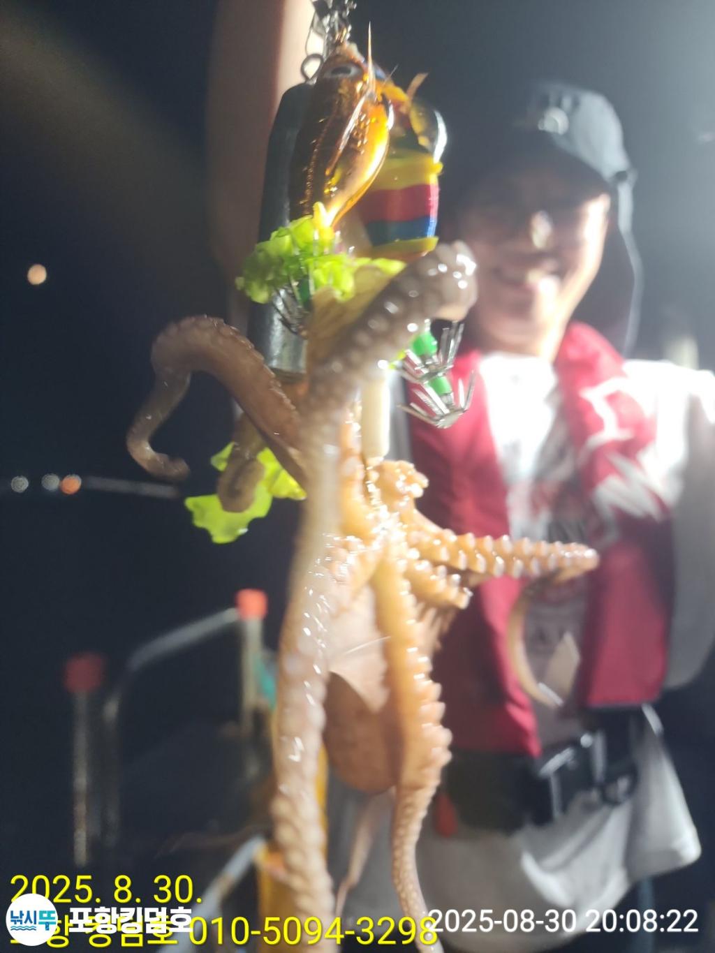 낚시뚜,돌문어,영일만항,포항 킹덤호,낚시뚜10