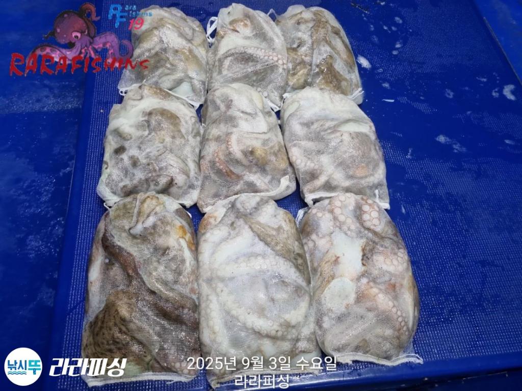 F2770937FZ.jpg