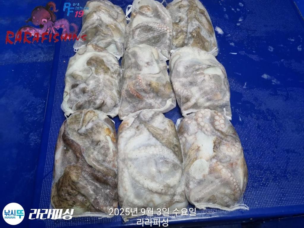 F2770938VN.jpg