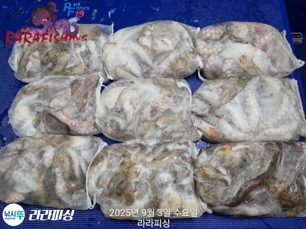F27709411O.jpg