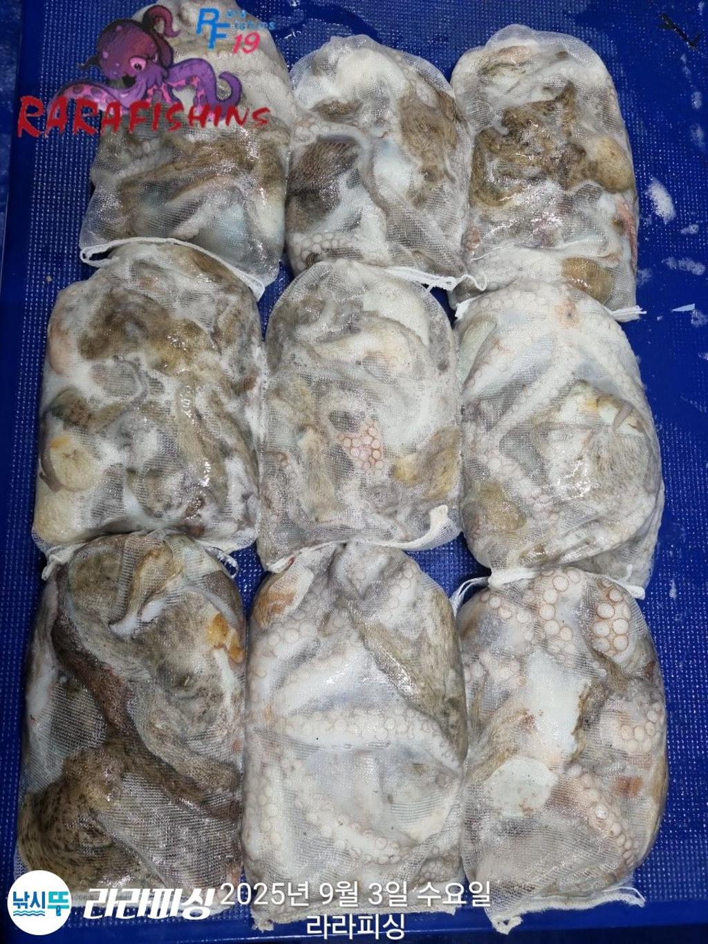 F27709550U.jpg
