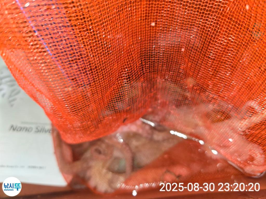 F2771037EN.jpg
