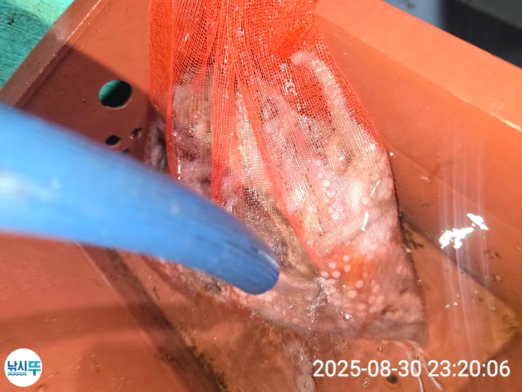 F2771038MG.jpg
