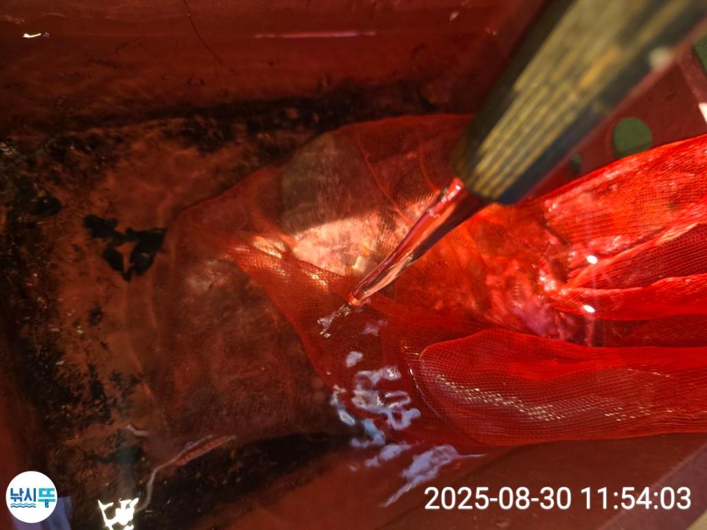 F2771069GW.jpg