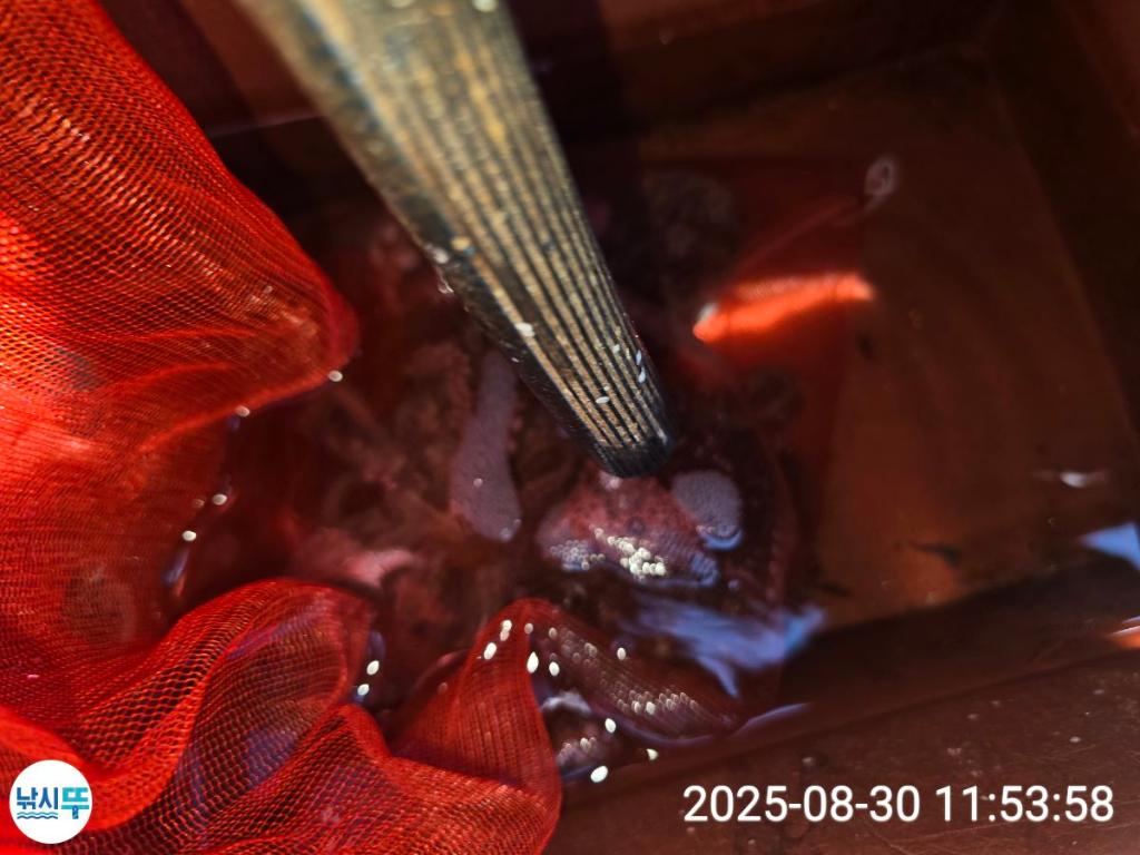 F2771071T8.jpg