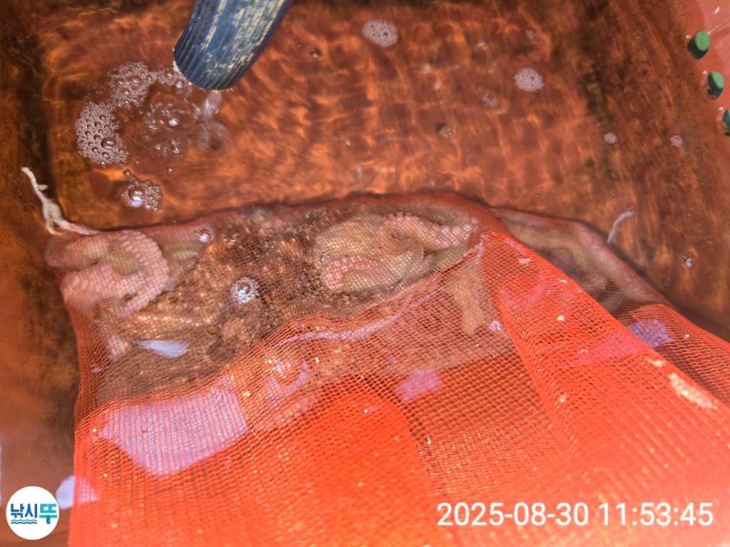 F2771072NW.jpg