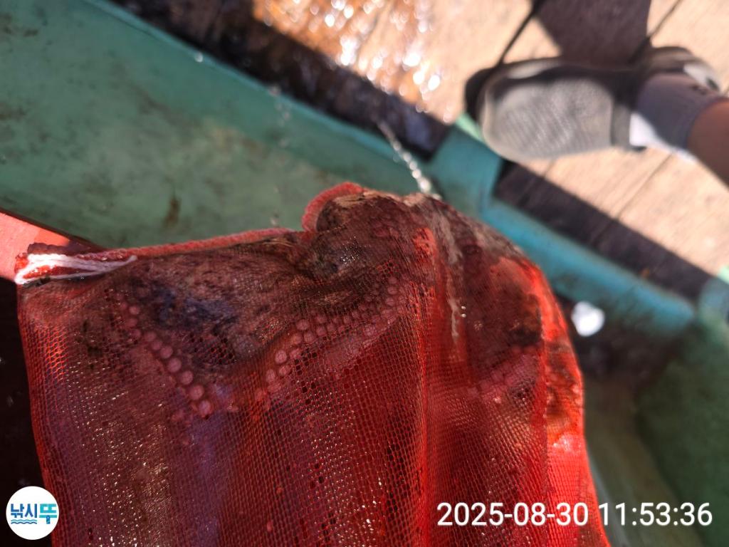 F2771073NV.jpg