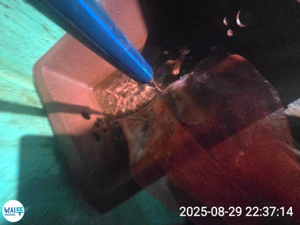 F2771089OL.jpg