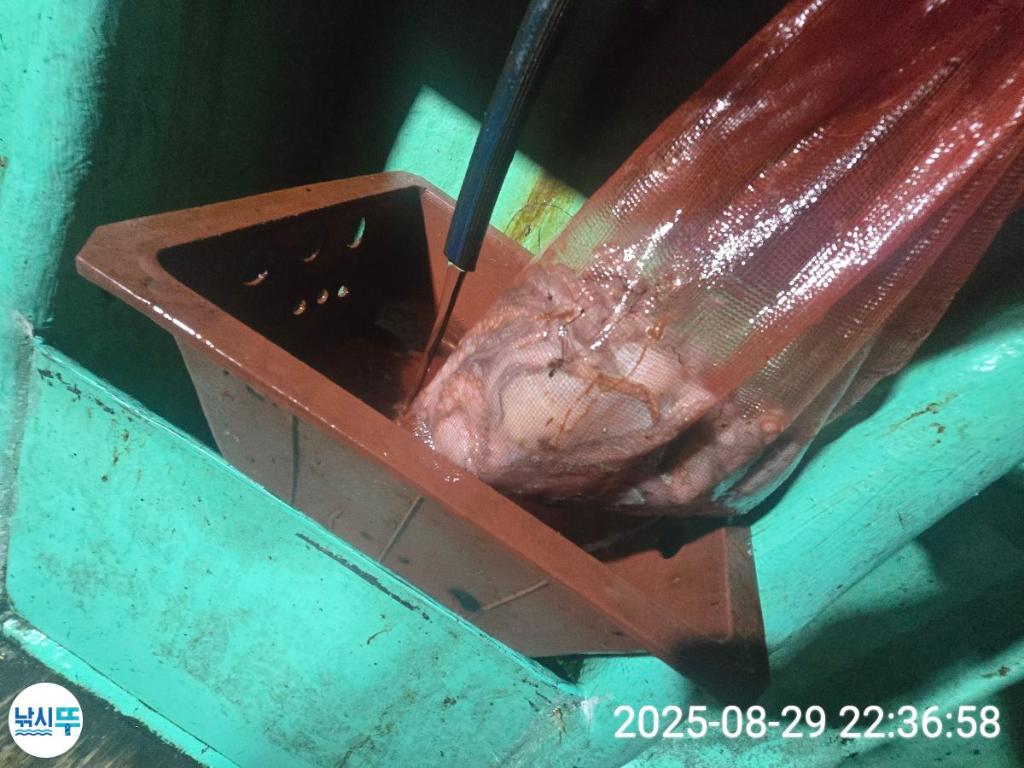 F2771090DQ.jpg