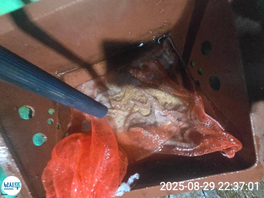 F2771091QL.jpg
