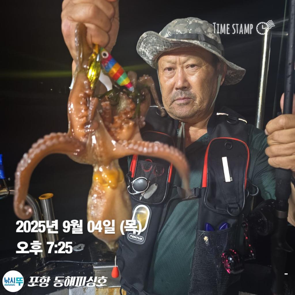 낚시뚜,돌문어,포항(운하관),포항 동해피싱호,낚시뚜8