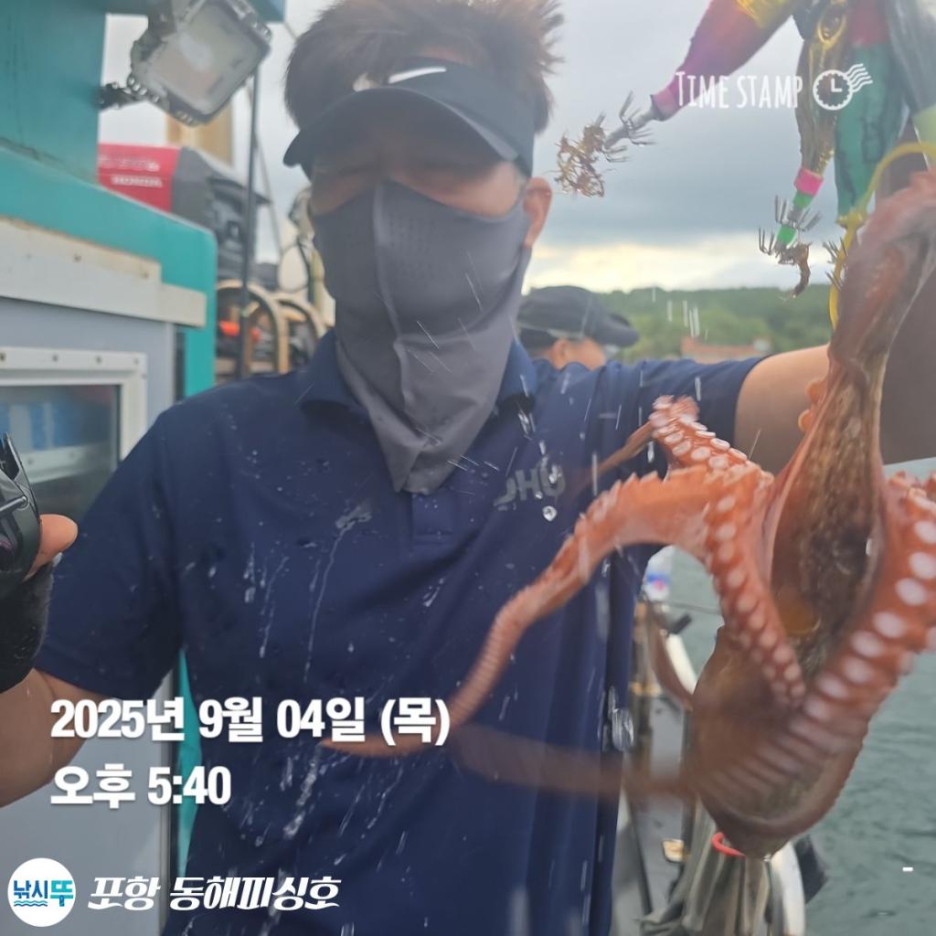 낚시뚜,돌문어,포항(운하관),포항 동해피싱호,낚시뚜3