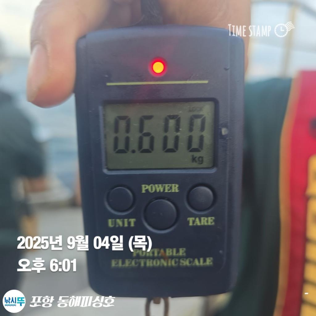 낚시뚜,돌문어,포항(운하관),포항 동해피싱호,낚시뚜1
